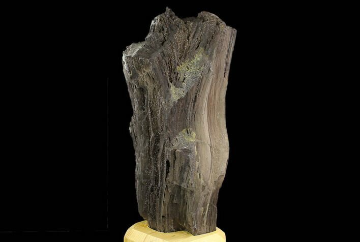 Petrified Wood Log Covered In Druzy Quartz - Zwenkau, Germany #130540